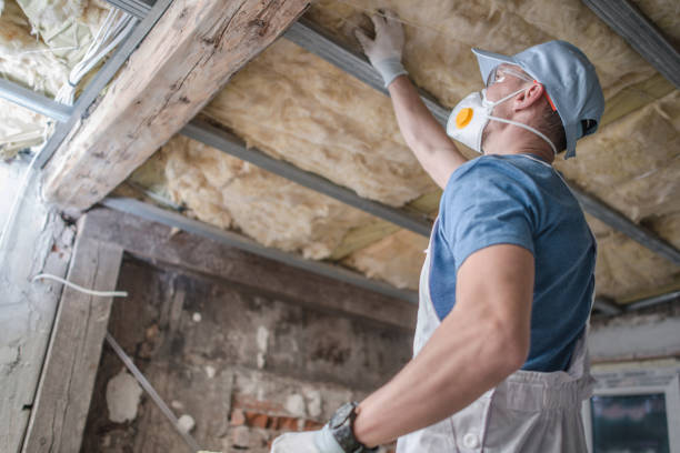 Best Residential Insulation in Moline, IL