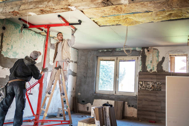 Best Specialized Insulation Services in Moline, IL