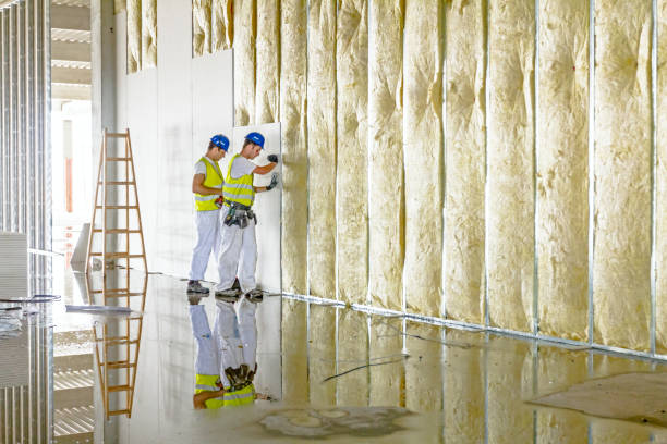 Trusted Moline, IL Insulation Contractor Experts